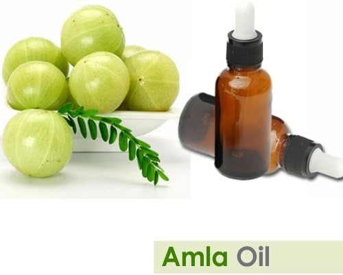Amla (Emblica Officinalis) Essential Oil 100% Pure & Natural Undiluted Uncut Oil | Use for Aromatherapy | Therapeutic Grade (15 ML) (15 ml (0.50 Ounce) with Dropper)