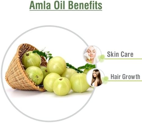 Amla (Emblica Officinalis) Essential Oil 100% Pure & Natural Undiluted Uncut Oil | Use for Aromatherapy | Therapeutic Grade (15 ML) (15 ml (0.50 Ounce) with Dropper)
