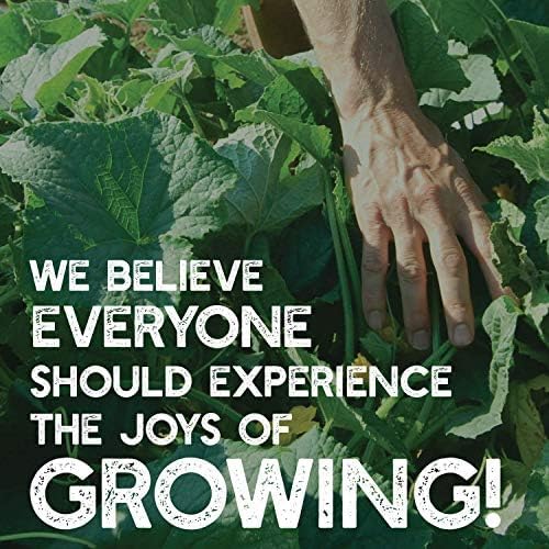 Clover Trio Seed Blend – Premium 1 Lb ~179,200 Seeds – Red, White & Crimson Clover – Cover Crop & Soil Enrichment Mix