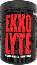 Ekkovision Ekkolyte 60 Servings Fruit Punch