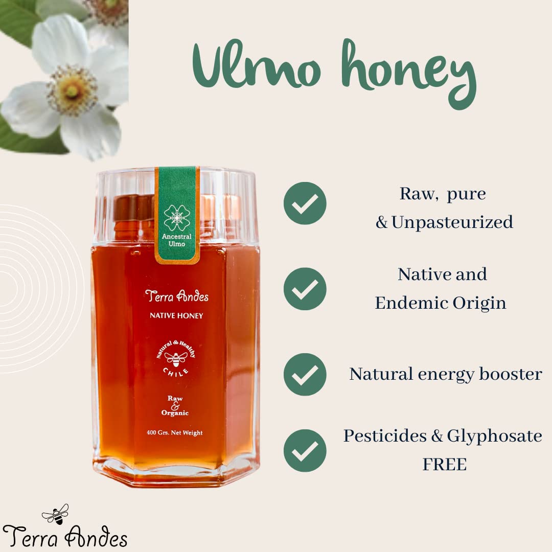 Terra Andes Raw and Unfiltered Honey - Ancestral Ulmo Luxury Edition. 14.1 oz
