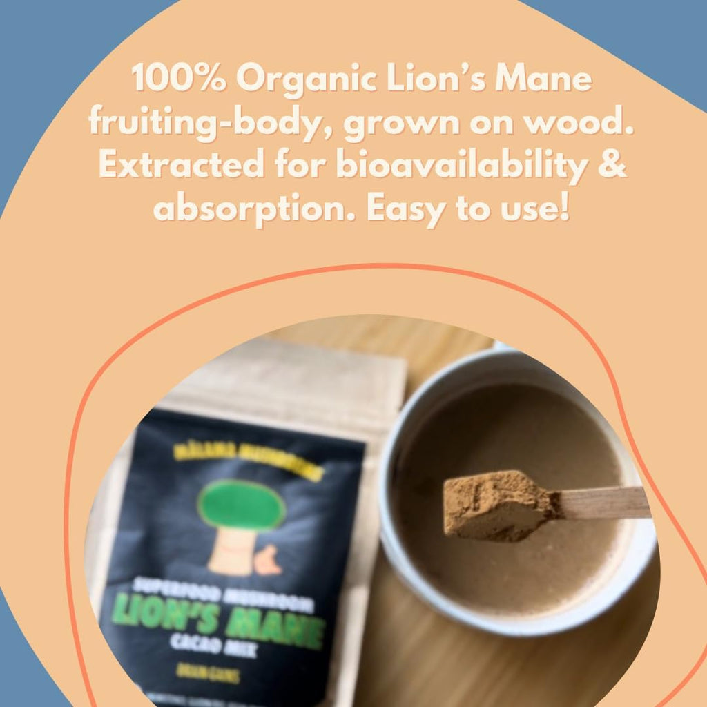 Malama Organic Mushroom Hot Cacao Mix, Lion's Mane Mushroom Powder with Fair Trade Cacao for Focus, Memory, & Immune Support – Vegan Supplement & Superfood, Non GMO, 3.5 oz (50 Servings)