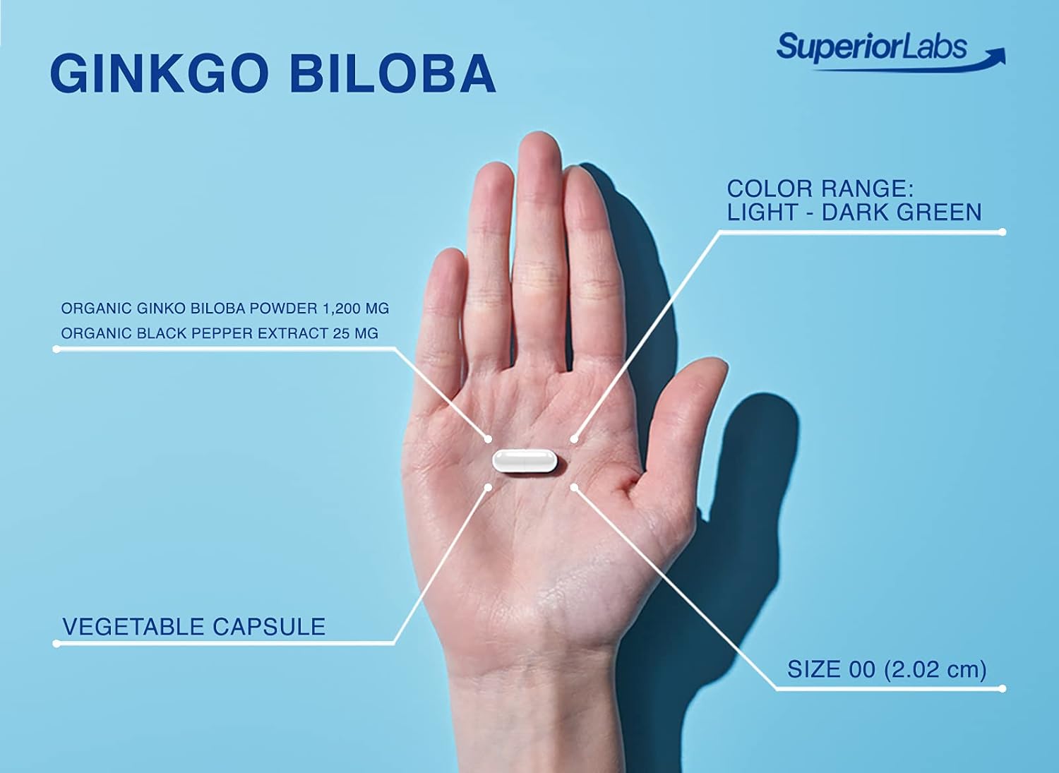 Superior Labs Ginkgo Biloba 1200 mg, Non-GMO, Black Pepper for Increased Absorption, Ginkgo Extract, Improves Memory & Focus, Circulation Booster, Natural Antioxidant Nootropic, 120 Veg Caps