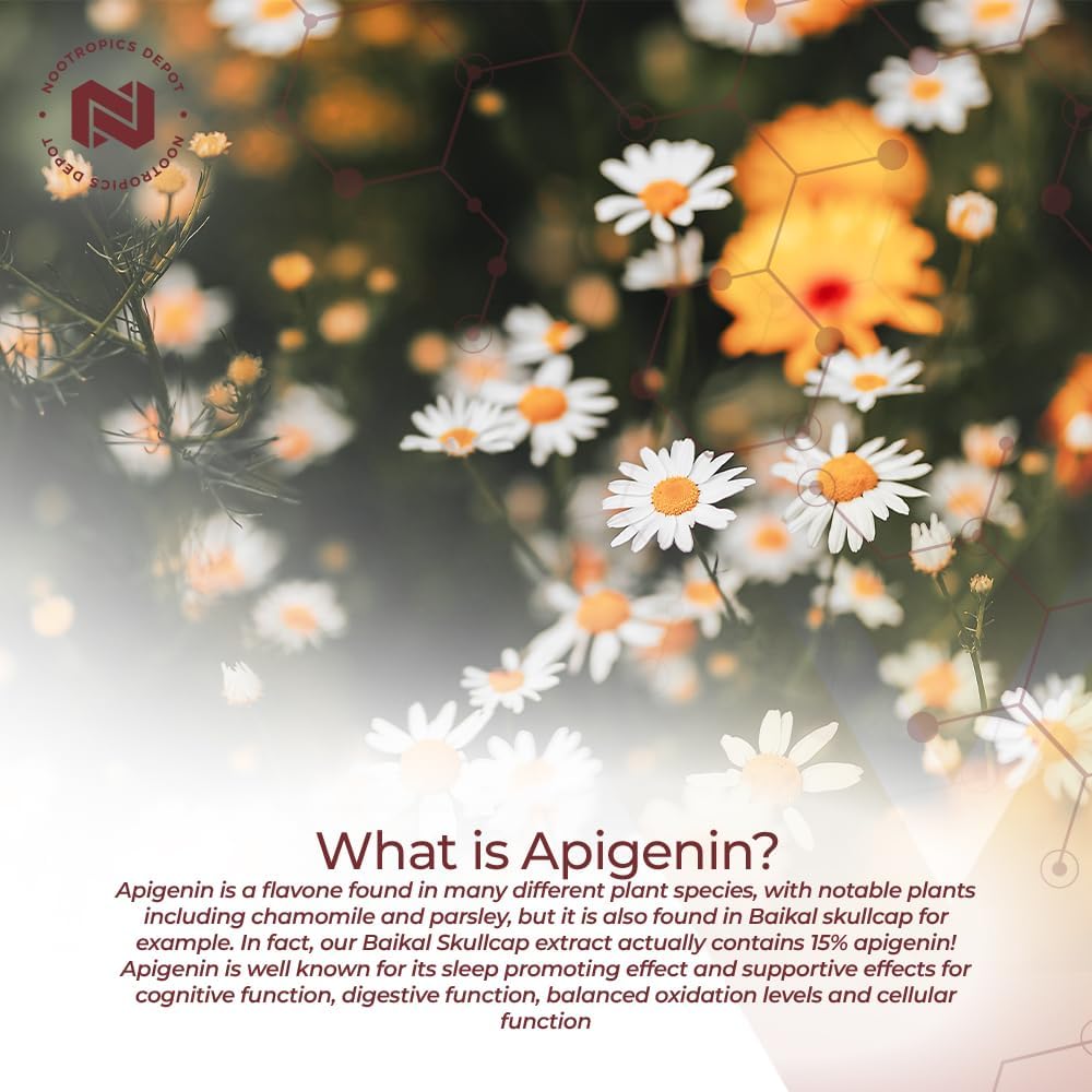 Nootropics Depot Apigenin Capsules | 200mg | 120 Count | >98% Apigenin | Supports Healthy Stress Levels