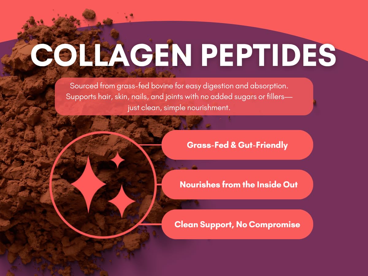 Mindful Nutrition Keto Protein Cocoa Mix with Collagen Peptides Powder & Organic MCT Oil Friendly Paleo Sugar Free Chocolate Non Dairy Hot Chocolate, 10.16 Ounce