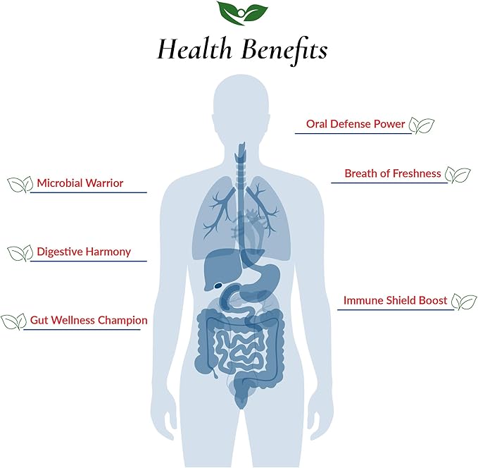 Foods For Gut Bifido Formula 320 Billion cfu's | Made in USA | Direct from Manufacturer | No Third-Party Storage | Digestive & Immune Support | May Help Leaky Gut Repair | 60 Grams (2.11 Oz)
