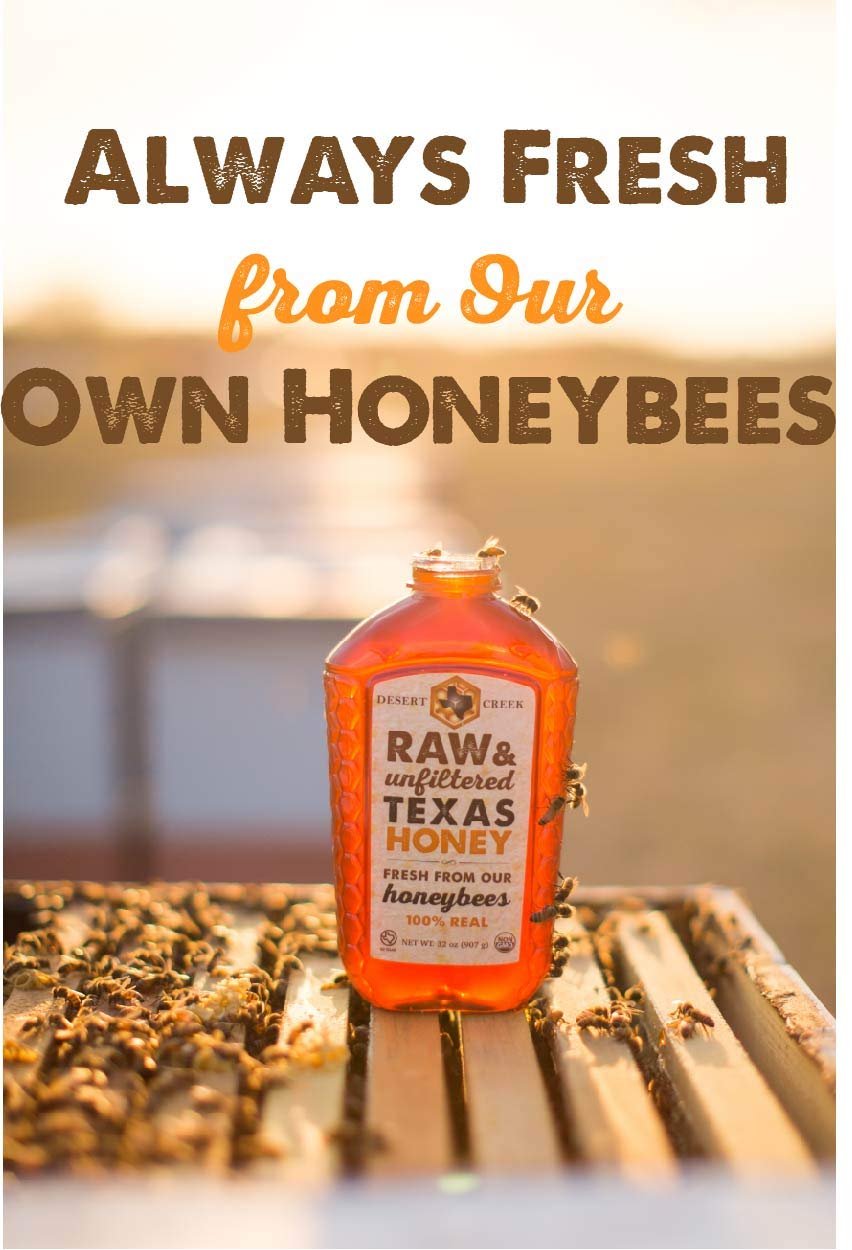 Pack of Two 12 oz. Honey Bears Raw, Unfiltered, Unpasteurized Texas Honey by Desert Creek Honey Non-GMO, Kosher