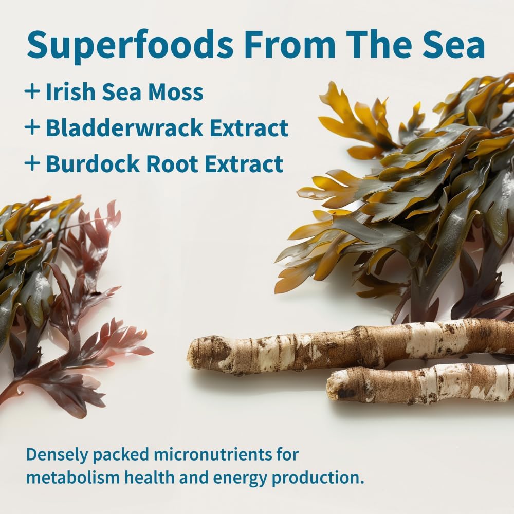 Irish Sea Moss Capsules w/Bladderwrack, Burdock Root & Iodine Energy Support - Seamoss Supplement to Elevate Mood, Strengthen Immunity & Digestion, Renew Skin Tone - Seamoss Pills (60 Capsules)