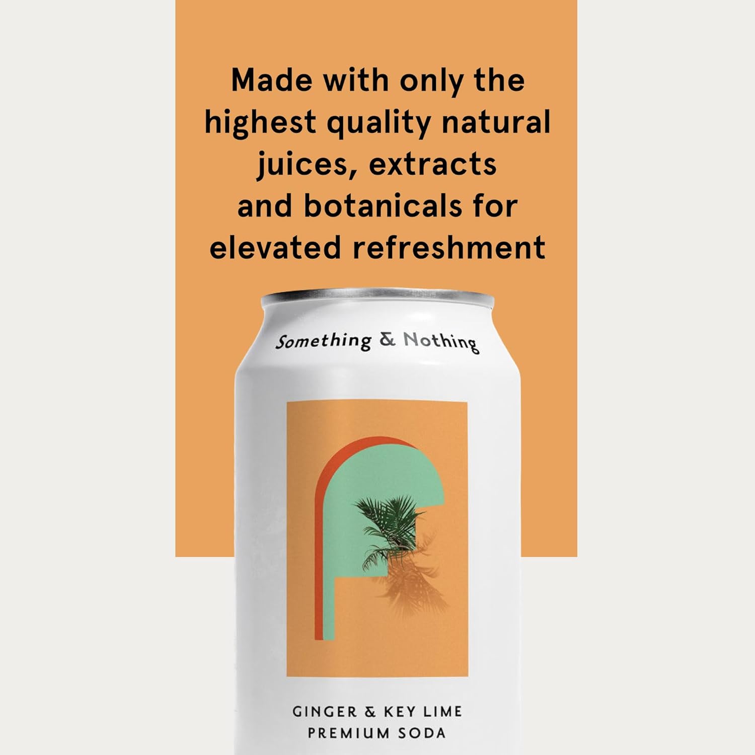 Something & Nothing Ginger & Lime Flavoured Sparkling Water | Lightly Carbonated, Full Flavoured with Added Grape & Lemon Juice | Vegan & Low Calorie Soda | 12 Fl Oz Cans (Pack of 12)
