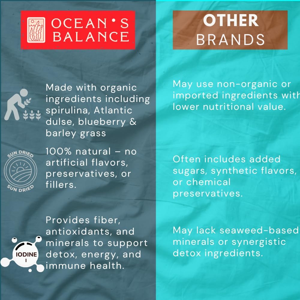 Ocean's Balance Daily Detox Smoothie Powder with Cilantro, Blueberry, Spirulina, Dulse Seaweed & Barley Grass Juice Powder — Easily Digested Smoothie Mix for Detox Cleanse (4 oz - 1 Pack)