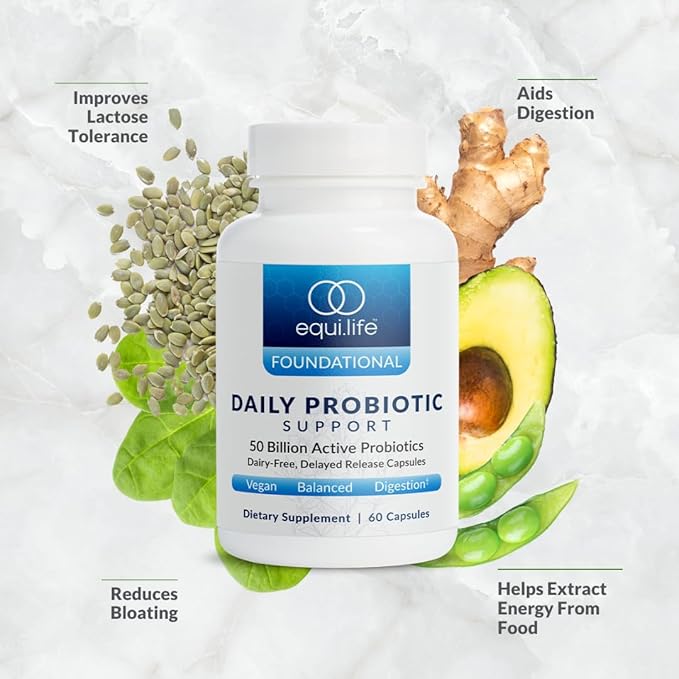 Equilife Daily Probiotic Support, 50 Billion CFU, 8 Probiotic Strains, Digestive and Gut Health Supplement for Men and Women, Gluten Free, Soy and Dairy Free, Non GMO, American Made, 60 Capsules