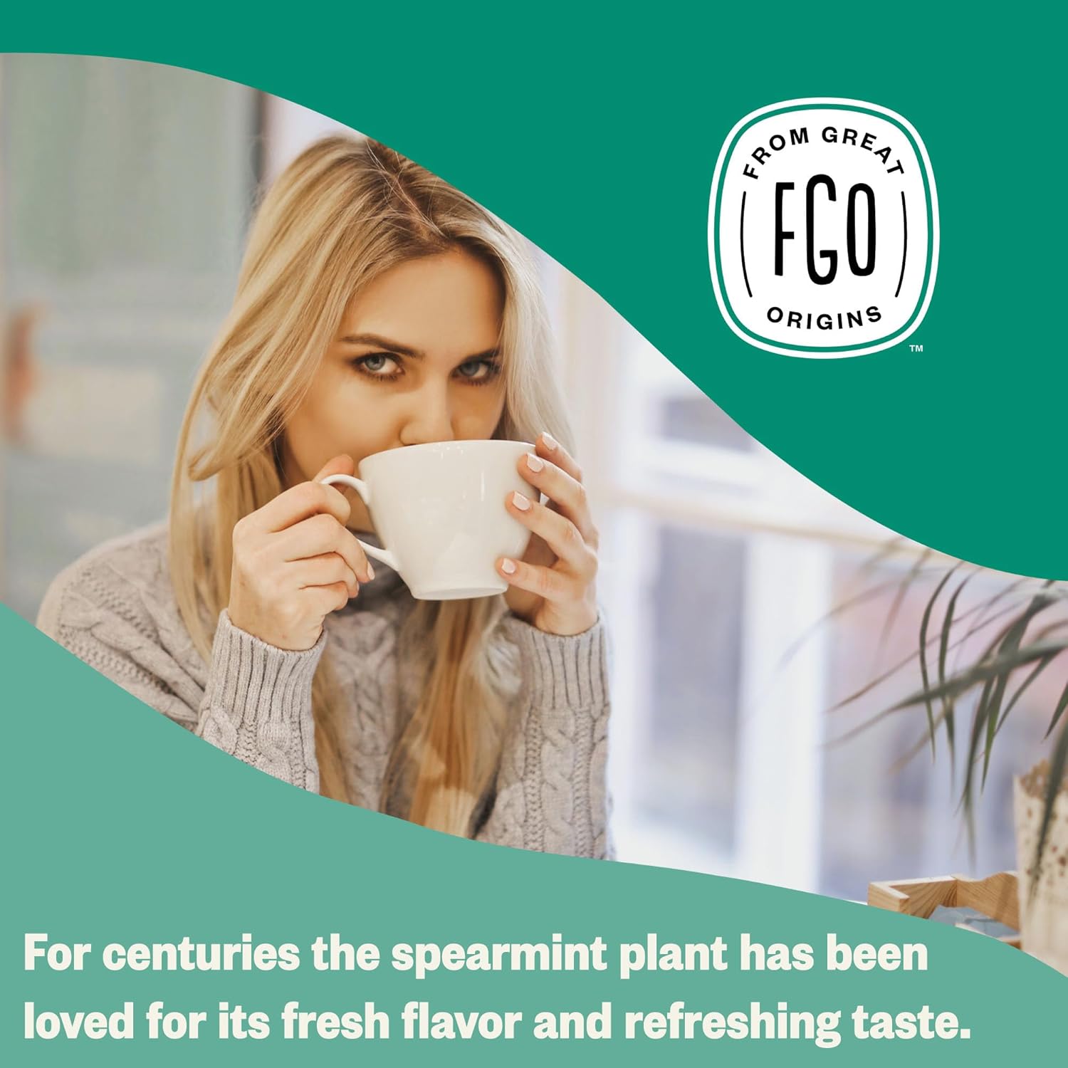 FGO Organic Spearmint Leaf Herbal Tea, 40 Count, Eco-Conscious Tea Bags, Caffeine Free, (Pack of 1)