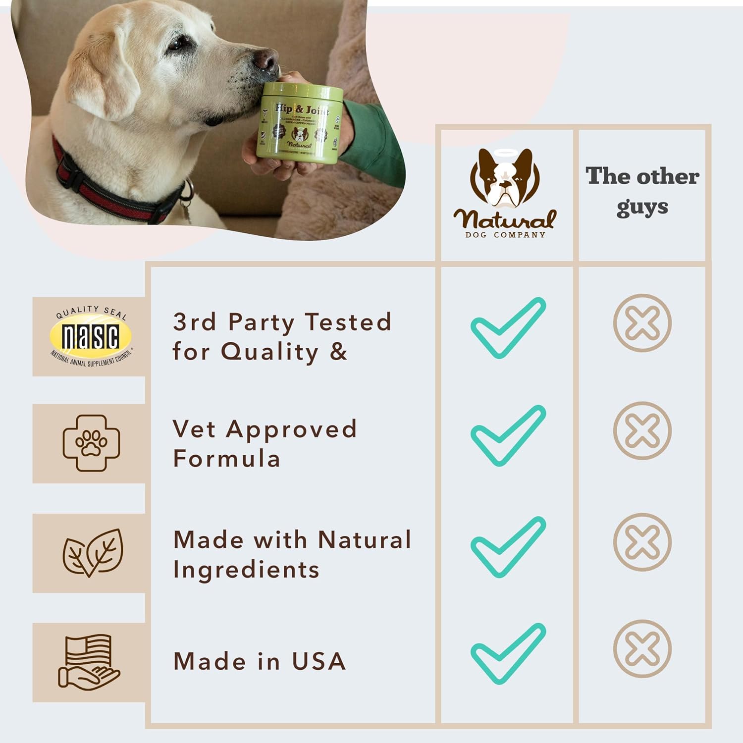 Natural Dog Company Hip & Joint Supplement for Dogs – Supports Mobility, Flexibility & Comfort, Glucosamine, Chondroitin, MSM & Turmeric, Chicken Flavor, 90 Count
