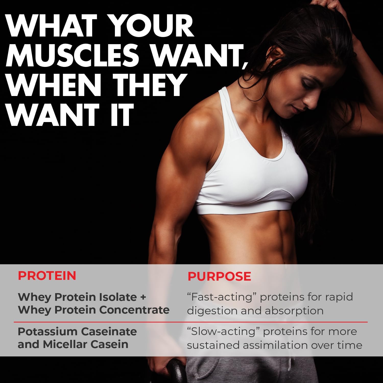 Max Muscle Maxpro Elite Whey Protein Powder | 30g Protein | 0g Sugar | 6.6g BCAAs | Micellar Casein Cold Filtered Whey Isolate Protein | Promotes Muscle Growth & Recovery (Vanilla Ice Cream 2lb)