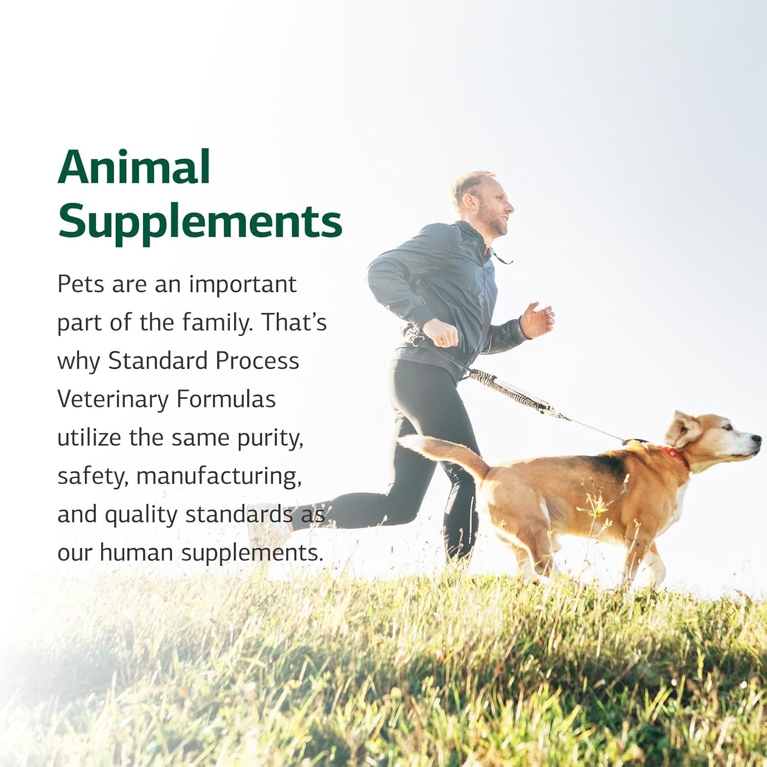 Standard Process Canine Dermal Support - Skin & Adrenal Gland Support Supplement - Comprehensive Skin Health Support Supplement for Dogs - Daily Immune & Liver Support Powder - 30 g