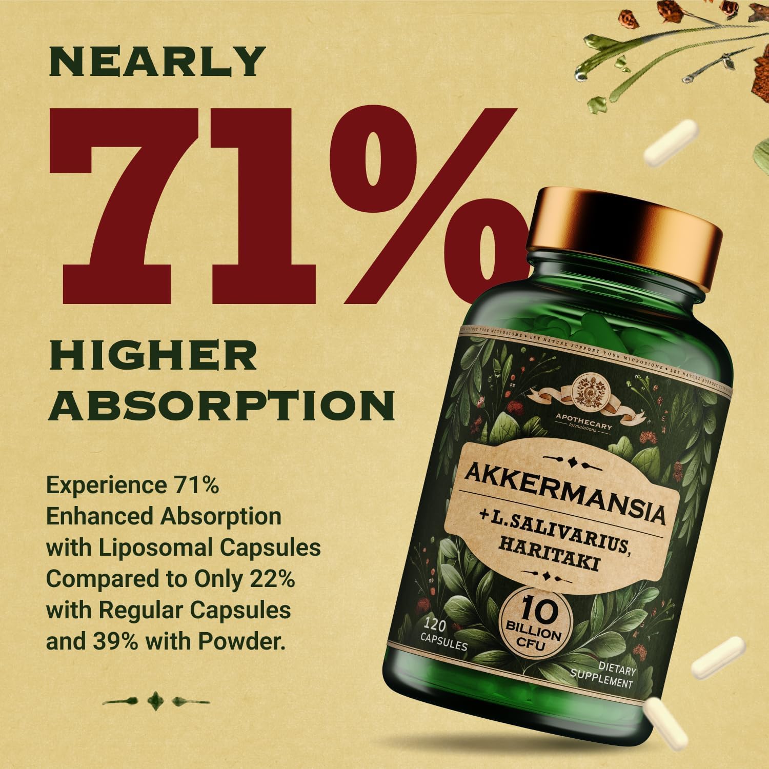 Akkermansia Muciniphila Probiotics and Prebiotics - GLP 1 Booster w/Lactobacillus Salivarius | Fiber Supplement Gut Health & Digestive Health | Women Probiotic Akkermansia Light (2)