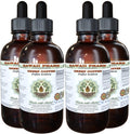 Green Coffee Alcohol-Free Liquid Extract, Green Coffee (Coffea Arabica) Dried Bean Glycerite Hawaii Pharm Natural Herbal Supplement 4x4 oz