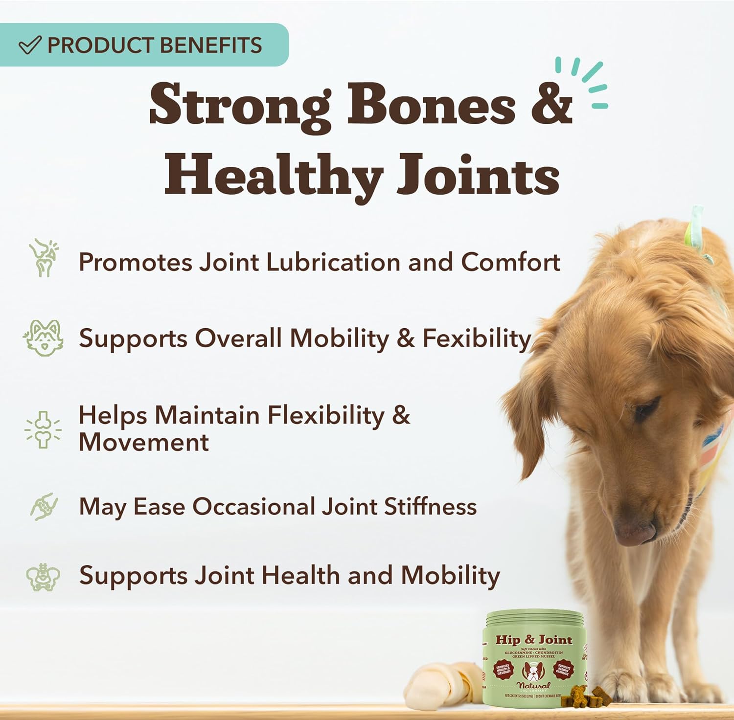 Natural Dog Company Hip & Joint Supplement for Dogs – Supports Mobility, Flexibility & Comfort, Glucosamine, Chondroitin, MSM & Turmeric, Chicken Flavor, 90 Count