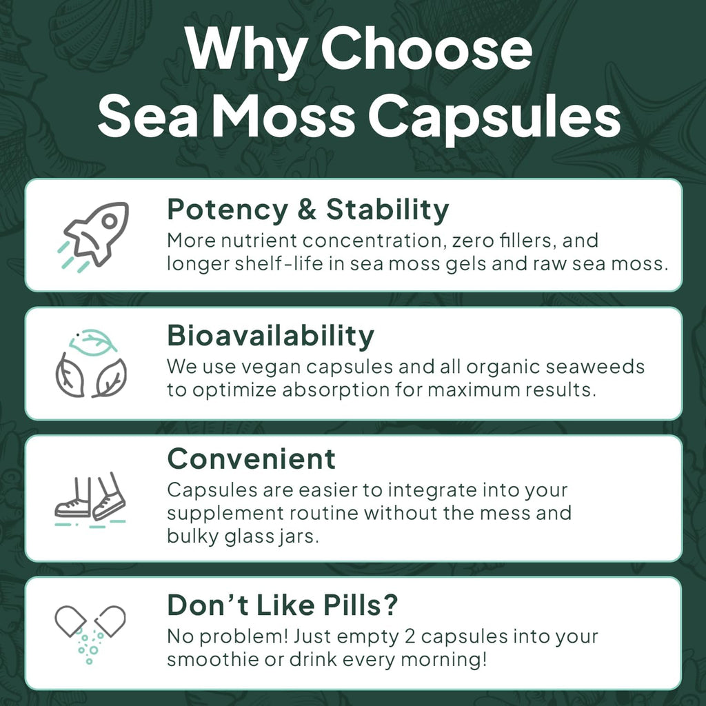 Wild Sea Moss Capsules - 100% Organic Irish Sea Moss with Organic Chlorella, Bladderwrack and Vitamin D for Energy, Lung Health and Thyroid Support for Women and Men - 3 Bottles