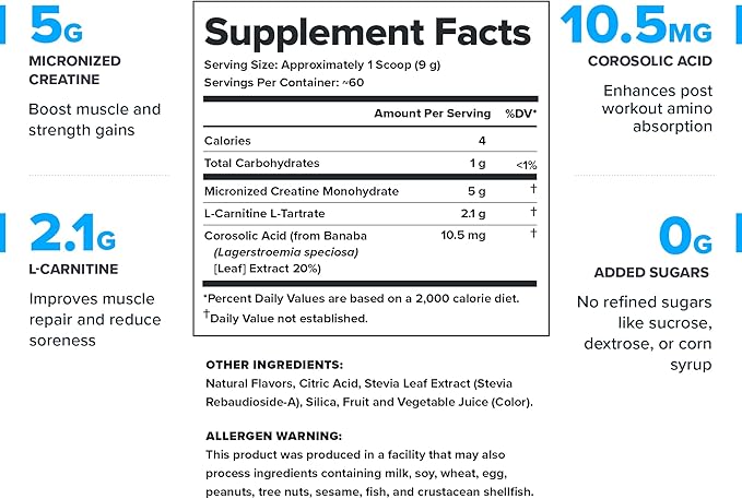 Legion Recharge Post Workout Supplement - All Natural Muscle Builder & Recovery Drink With Creatine Monohydrate. Naturally Sweetened & Flavored, Safe & Healthy. 60 Servings. (Fruit Punch, 60 Servings)