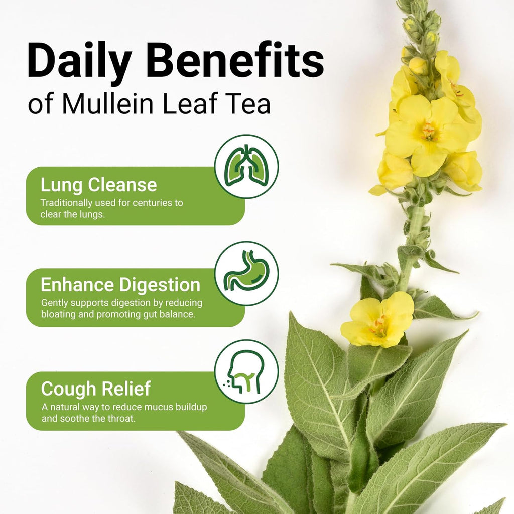 Premium 60 Mullein Tea Bags For Lungs - 100% Pure Mullein Leaf | For Lung Health & Respiratory Wellness Support | Caffeine Free - No Additives & Non-GMO | Plastic-Free, Plant-Based Tea Bags