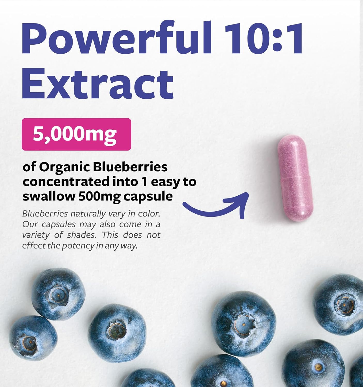 Certified Organic Blueberry Extract Capsules - High Potency 10:1 Blueberry Supplement with 5000mg Herbal Equivalent for Wellness Brain & Immune Support - Vegan Non-GMO & Lab Verified (2 Month Supply)