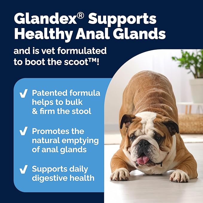 Vetnique Glandex Anal Gland Health Soft Chew Treats with Pumpkin for Dogs Digestive Enzymes, Probiotics Fiber Supplement for Dogs Boot The Scoot (Advanced Strength Duck/Bacon Chews (Veg), 30 Count)