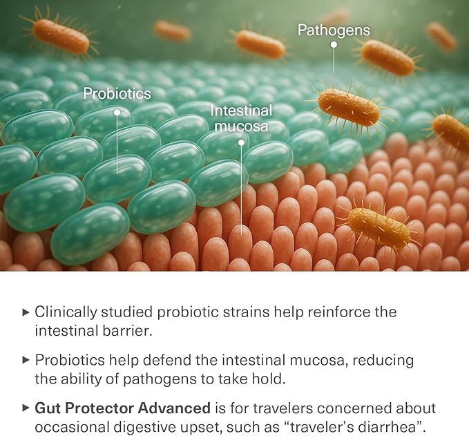 Travel Probiotics for Digestive Health, Immune Support & Occasional Traveler’s Diarrhea | Probiotics for Gut Health | Travel Essentials Supplement | Gut Protector | 30 Vegan Caps