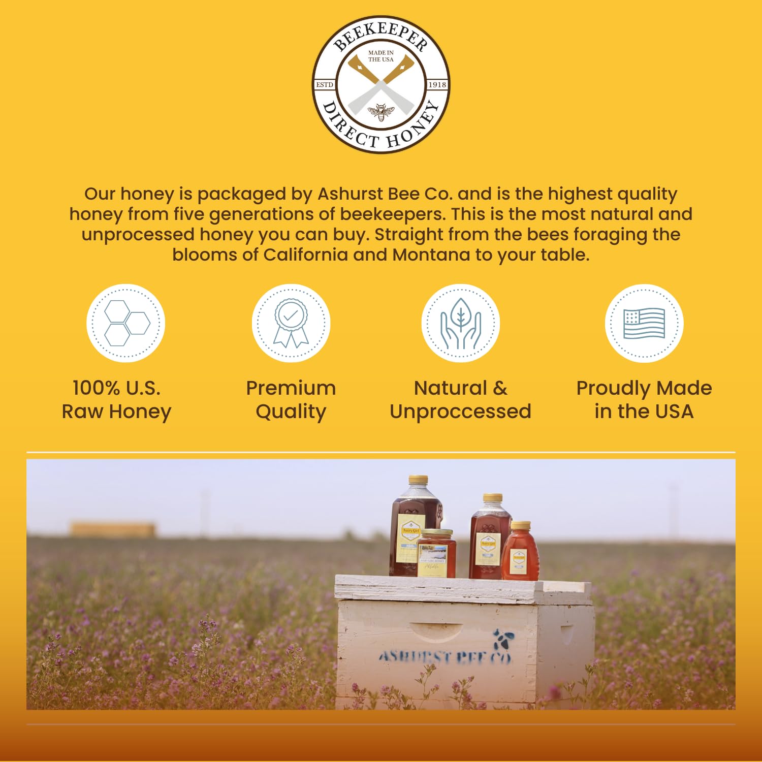 Beekeeper Direct Raw Unfiltered Honey - Real Raw Desert Flower Honey - All Natural Non-GMO Pure Gourmet Honey - Local California Sonora Desert Blossom Honey (5lbs Squeeze Bottle)