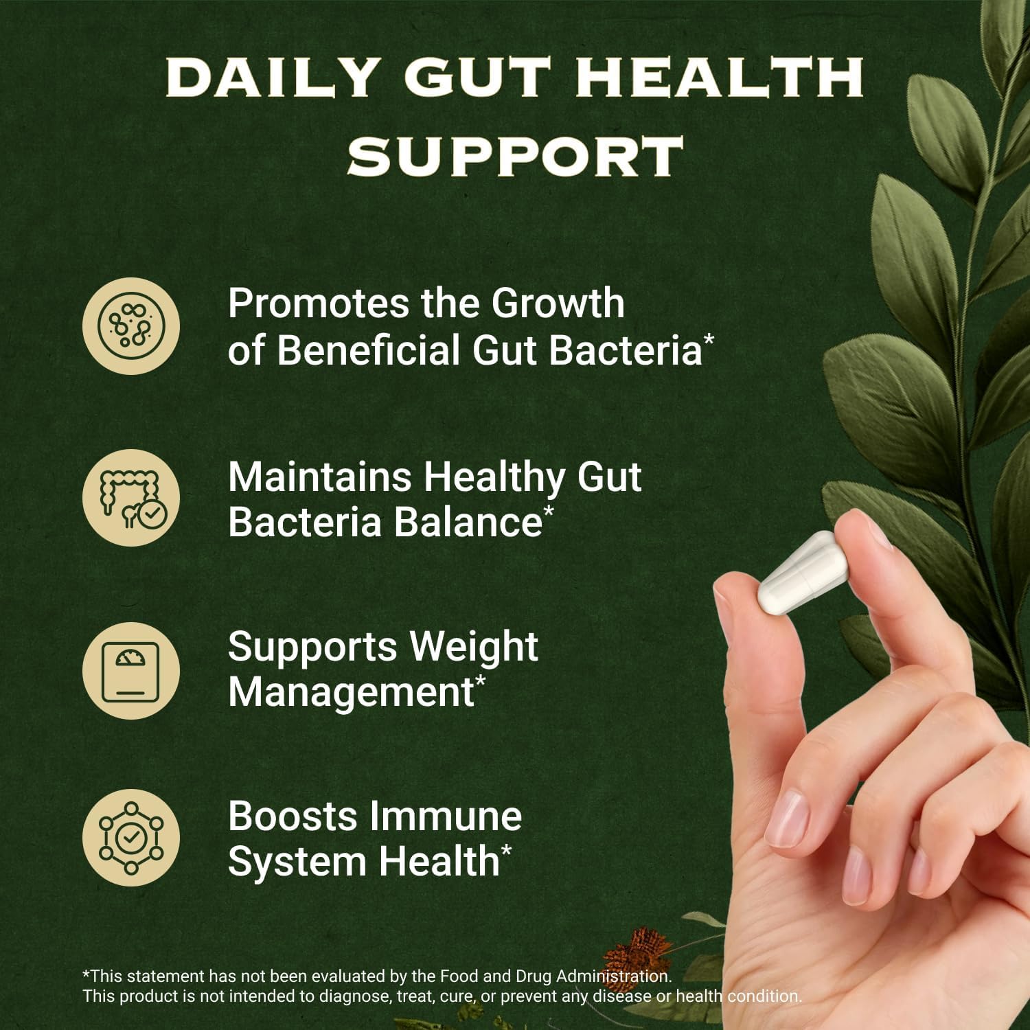 Akkermansia Muciniphila Probiotics and Prebiotics - GLP 1 Booster w/Lactobacillus Salivarius | Fiber Supplement Gut Health & Digestive Health | Women Probiotic Akkermansia Light (2)