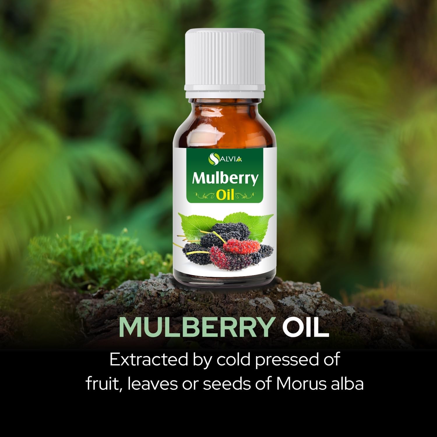 Salvia Mulberry Oil Pure Natural and Cold Pressed Mulberry Oil | for Diffusers, Soap Making, Candles, Lotion, Home Scents, Bath Bombs, DIY Homemade Products - Grade - 30 ML