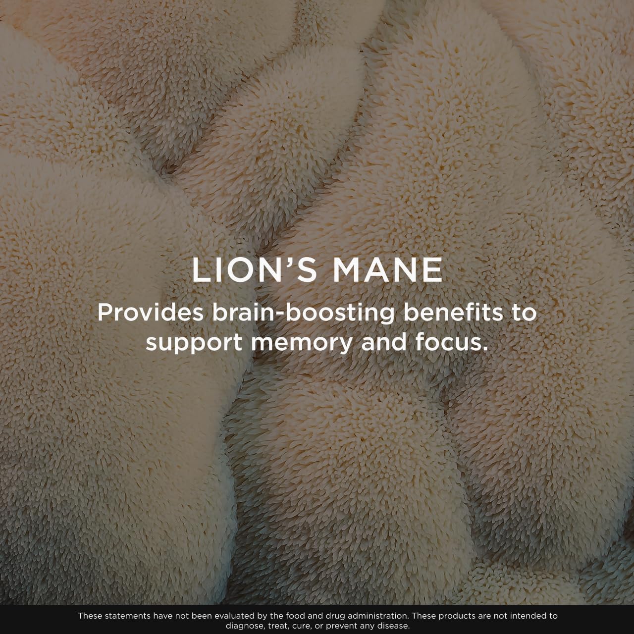 Genius Lion's Mane Soft Chews Supplement – Nootropic Mushroom for Focus, Clarity, Memory, Energy, Brain Health Support – Salted Caramel Flavor