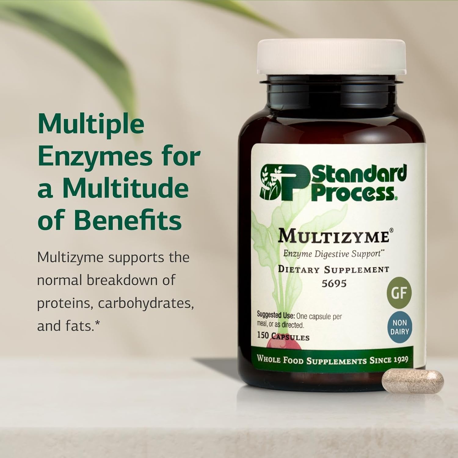 Standard Process Inc. Multizyme - Whole Food Pancreas Support, Pancreatin Digestive Enzymes, Digestive Health and Pancreatic Enzymes with Cellulase, Papain, Amylase, Lipase and More - 150 Capsules