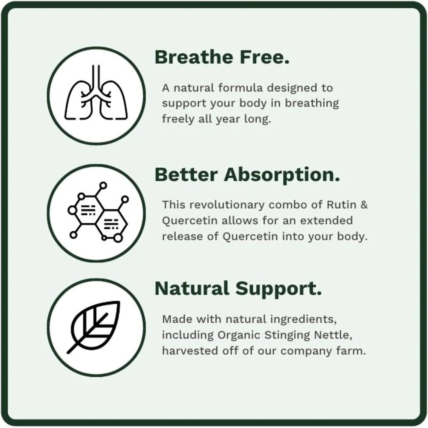 Allurtica | Herbal Supplement with Quercetin and Stinging Nettle | Seasonal Support for Adults & Kids | Non Drowsy | 120 Capsules