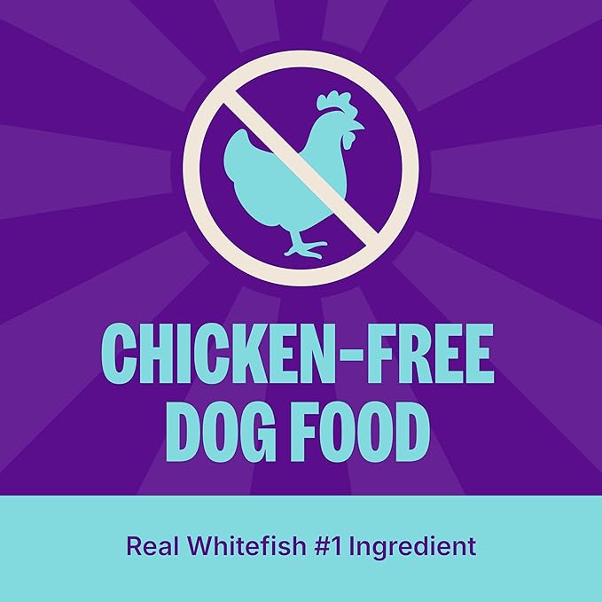 Wellness Complete Health Dry Dog Food, Wholesome Grains, Natural, Whitefish & Sweet Potato Recipe, (26-Pound Bag)