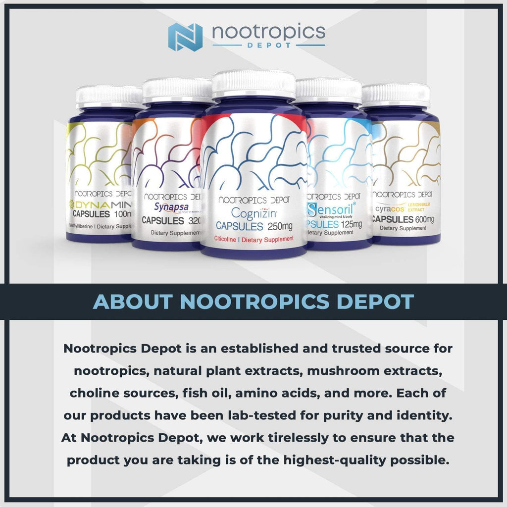 Nootropics Depot Tart Cherry Extract Tablets | 250mg | 120 Count | 10% Anthocyanins | Supports Balanced Oxidation & Inflammation Levels | Promotes Physical Strength & Energy