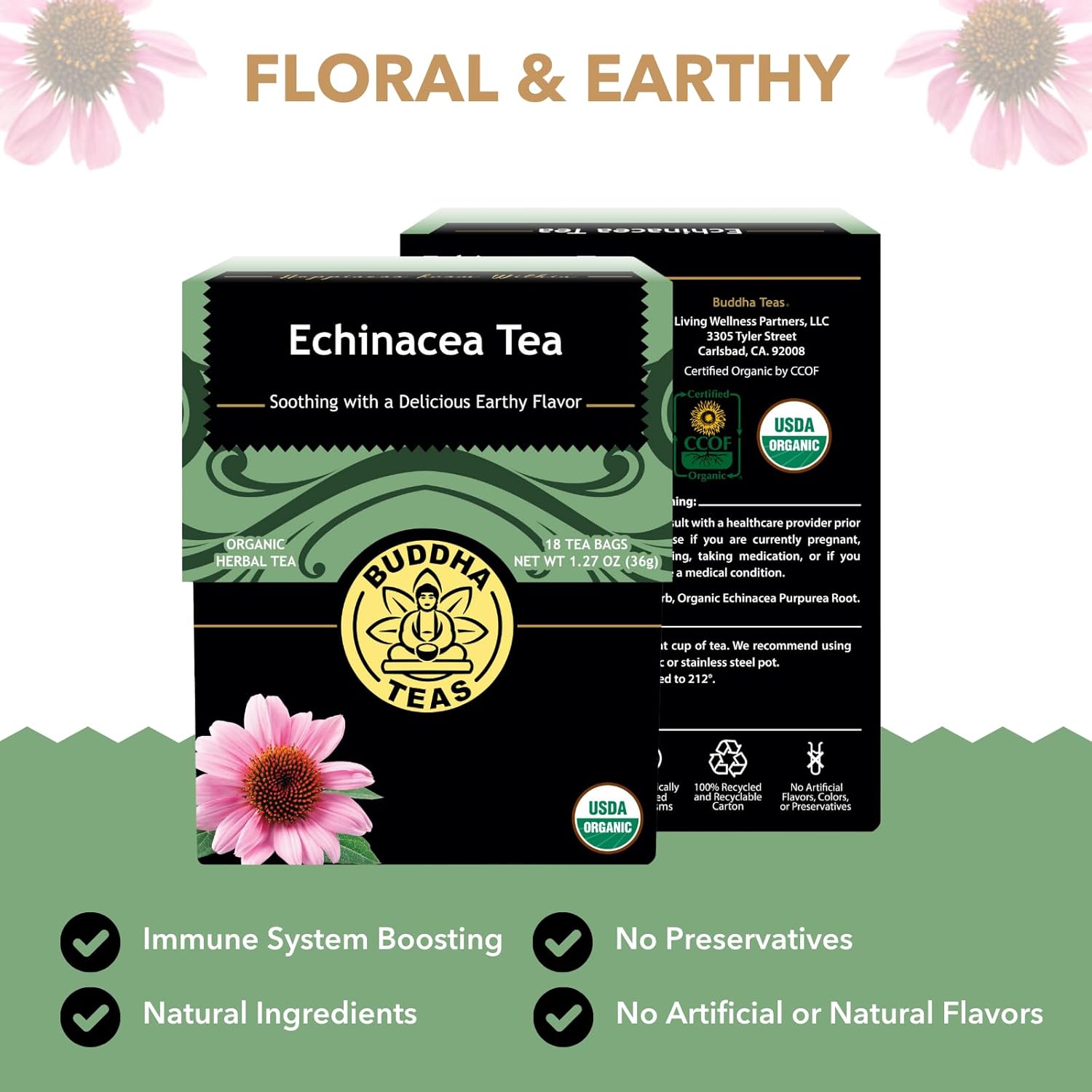 Buddha Teas - Organic Echinacea Tea - Herbal Tea - Immune Boosting - With Antioxidants & Minerals - Clean Ingredients - Caffeine Free - 18 Tea Bags (Pack of 1)