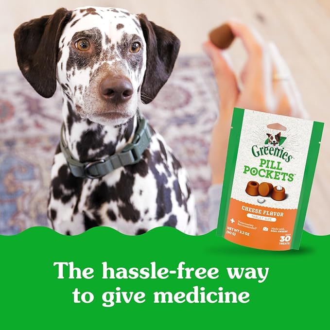 Greenies Pill Pockets for Dogs Large Size, Dog Treat Pouch for Capsule Medication, Cheese Flavor, 15.8 oz. Pouch