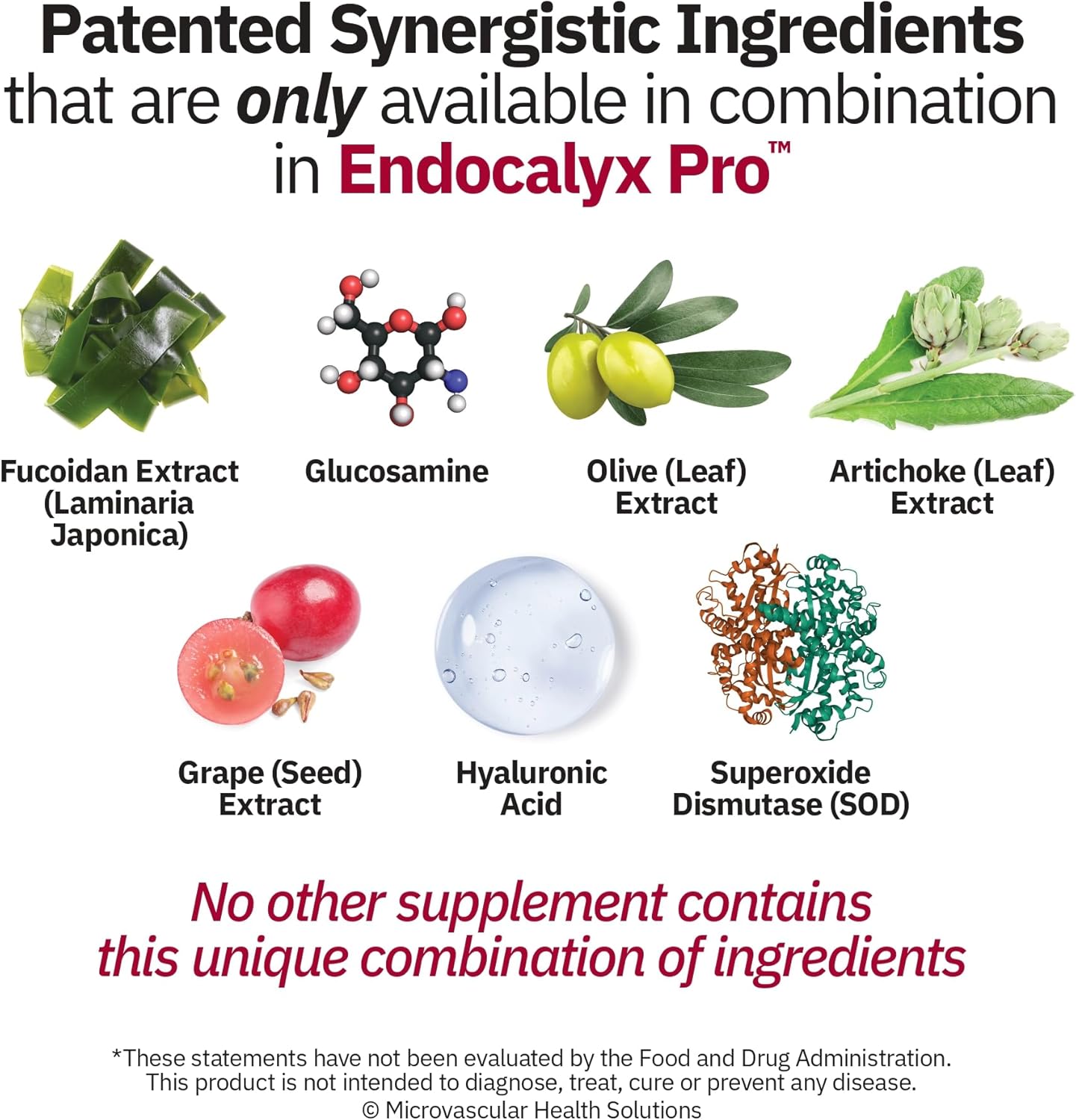 Endocalyx Pro Supplement – Endothelial Glycocalyx Support 120 Capsules - Vascular & Microcirculation Health – Clinically-Studied – Patented – Supports Nitric Oxide Functions