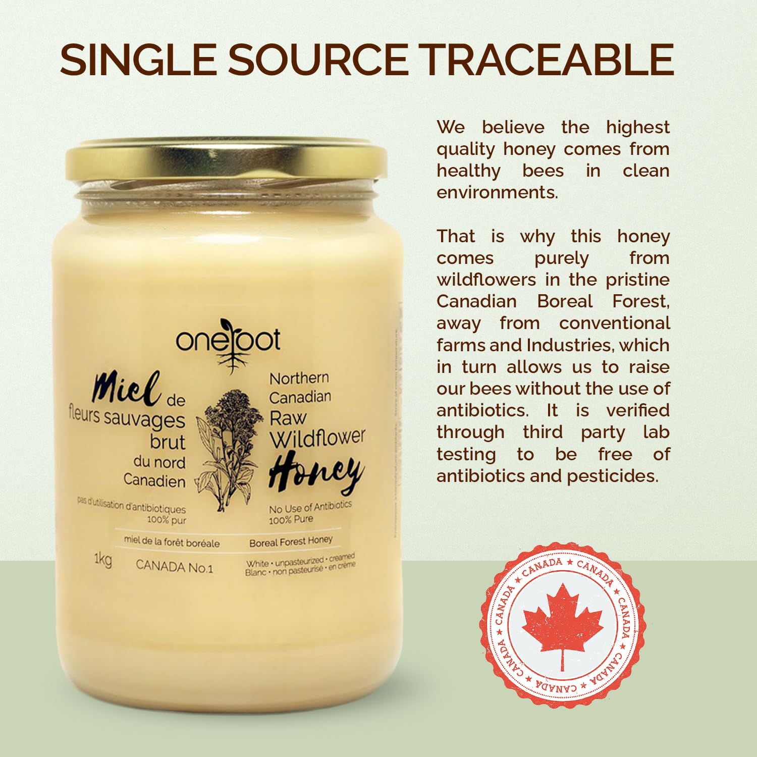 Oneroot 100% Canadian Wildflower Honey - 1kg / 2.2lbs, Unheated & Creamed - Nutrient-Rich, Natural Sweetener with Enzymes - Thick & Pure Raw Unfiltered Honey