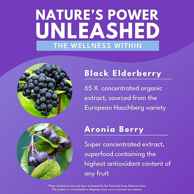 Bold Botanica Elderberry Plus – 65x Concentrated Black Elderberry Capsules with Vitamin C and Zinc for Adults for Daily Immune Support Supplement & Seasonal Wellness, Non-GMO – 30 Vegan Capsules