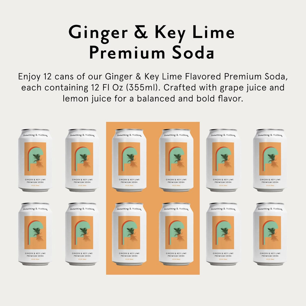 Something & Nothing Ginger & Lime Flavoured Sparkling Water | Lightly Carbonated, Full Flavoured with Added Grape & Lemon Juice | Vegan & Low Calorie Soda | 12 Fl Oz Cans (Pack of 12)