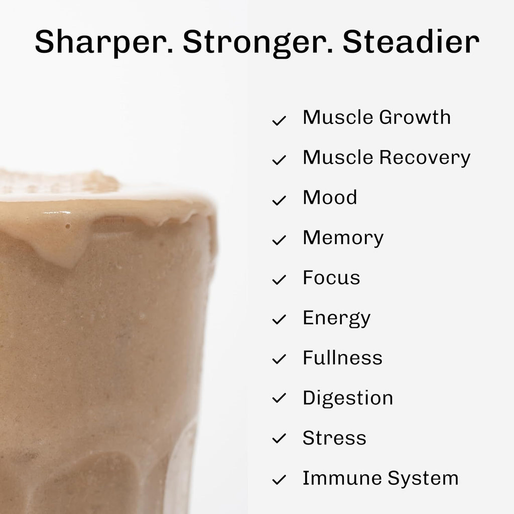 MUDWTR Nourish | Vanilla Mushroom Protein Powder | 2,000mg Adaptogenic Mushrooms | Vegan Protein Powder | USDA Organic | Focus, Mood & Digestion Support | Vanilla, Lion's Mane, Bacopa | 15 Servings