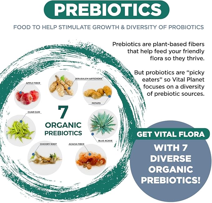 Vital Planet - Vital Flora Probiotics for Men, 60 Billion CFU, 60 Diverse Strains, 7 Organic Prebiotics, Men’s Daily Shelf Stable Probiotic for Immune Support, Gas Relief, Digestive Health 60 Capsules