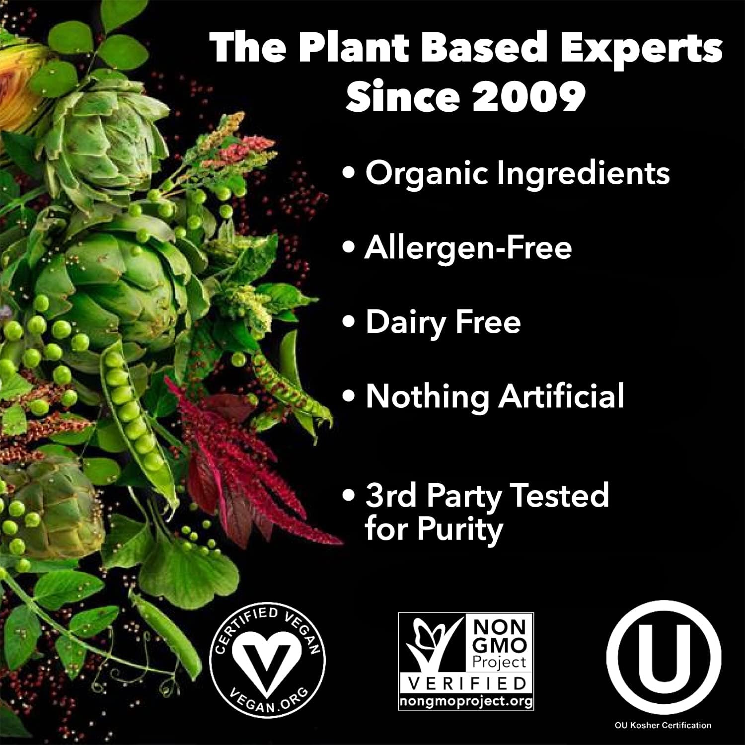 PlantFusion Complete Vegan Protein Powder - Plant Based Protein Powder With BCAAs, Digestive Enzymes and Pea Protein - Keto, Gluten Free, Soy Free, Non-Dairy, No Sugar, Non-GMO - Vanilla Pack of 12