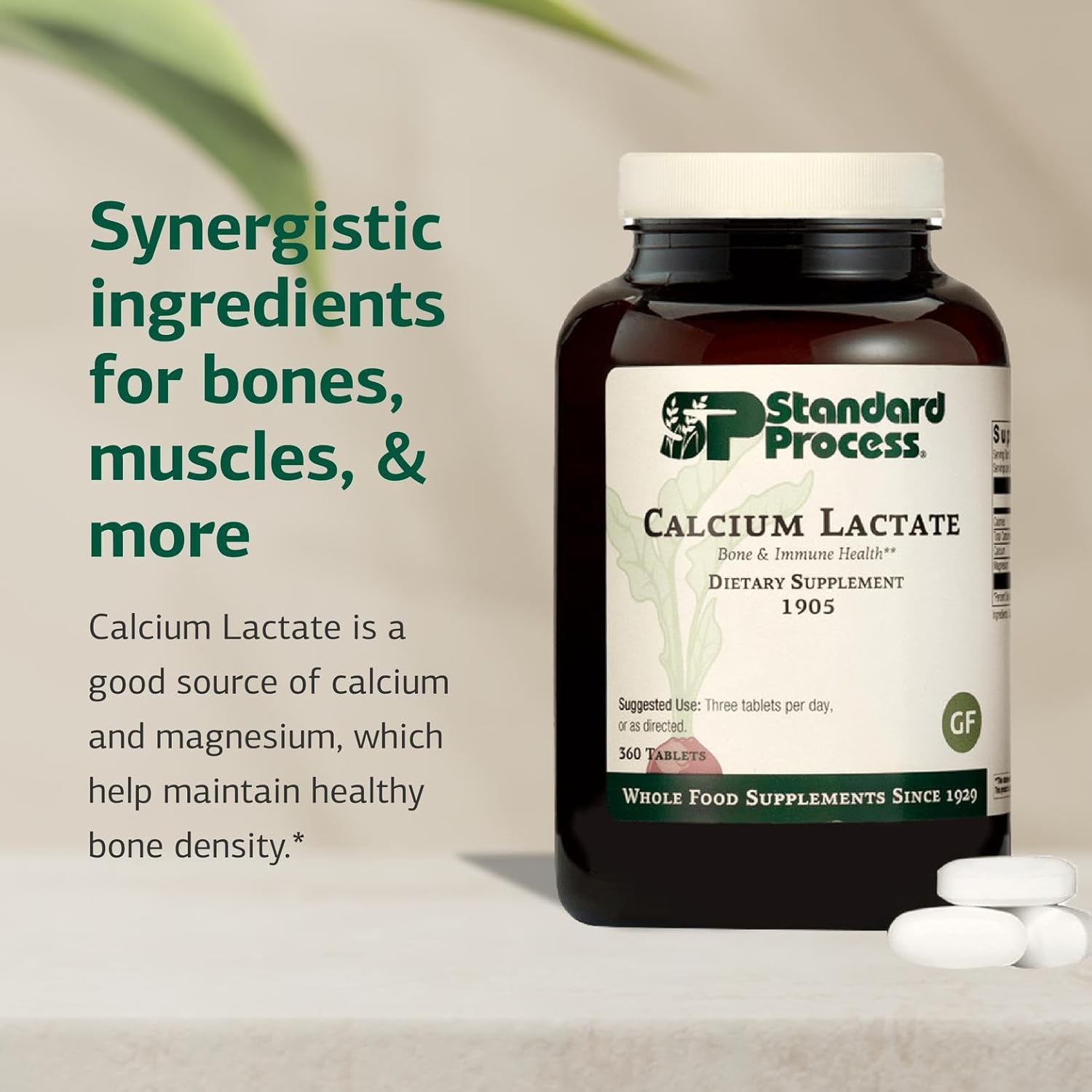 Standard Process Inc. Calcium Lactate - Immune Support and Bone Strength - Bone Health and Muscle Supplement with Magnesium and Calcium - 360 Tablets