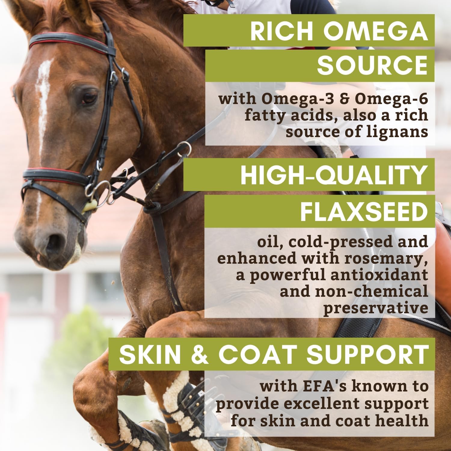 Wholistic Pet Organics Flaxseed Oil: Organic Flaxseed Oil for Horses -Flax Oil Horse Supplement with Antioxidant Rich Rosemary and Omega 3, 6 Fatty Acids for Cardio, Immune, Skin and Coat Health-16 Oz