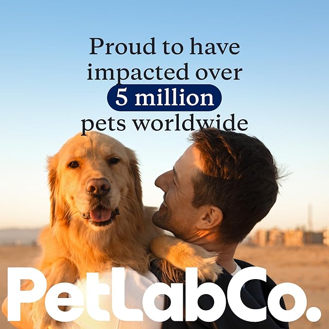 PetLab Co. Joint Care Chews - High Levels of Glucosamine for Dogs, Green Lipped Mussels, Omega 3 and Turmeric - Hip and Joint Supplement to Actively Support Mobility - Packaging May Vary - (2-Pack)