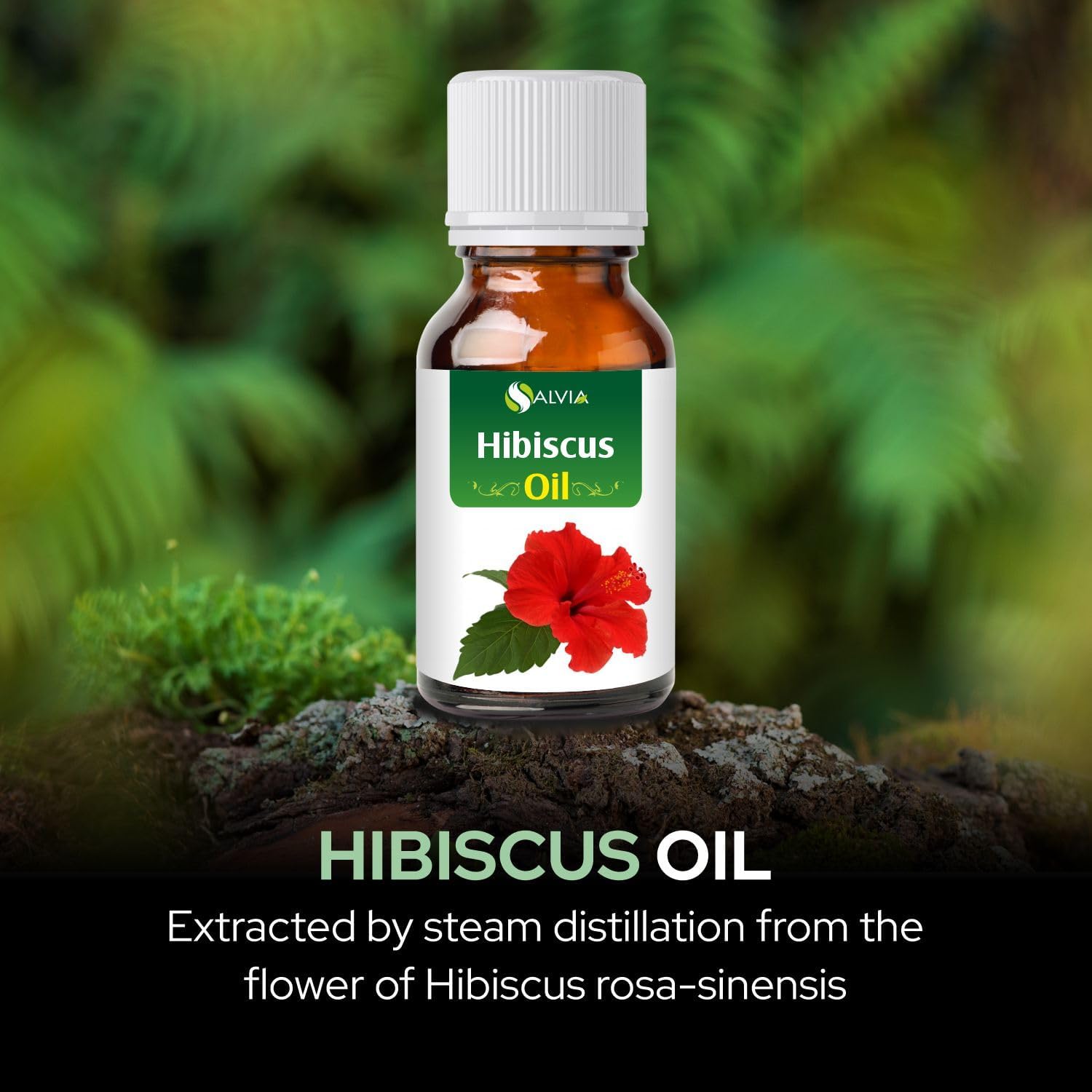 Hibiscus Oil (Hibiscus Sabdariffa L) Therapeutic Essential Oil by Salvia Amber Bottle 100% Natural Uncut Undiluted Pure Cold Pressed Undiluted Aromatherapy Premium Oil (100 ML)