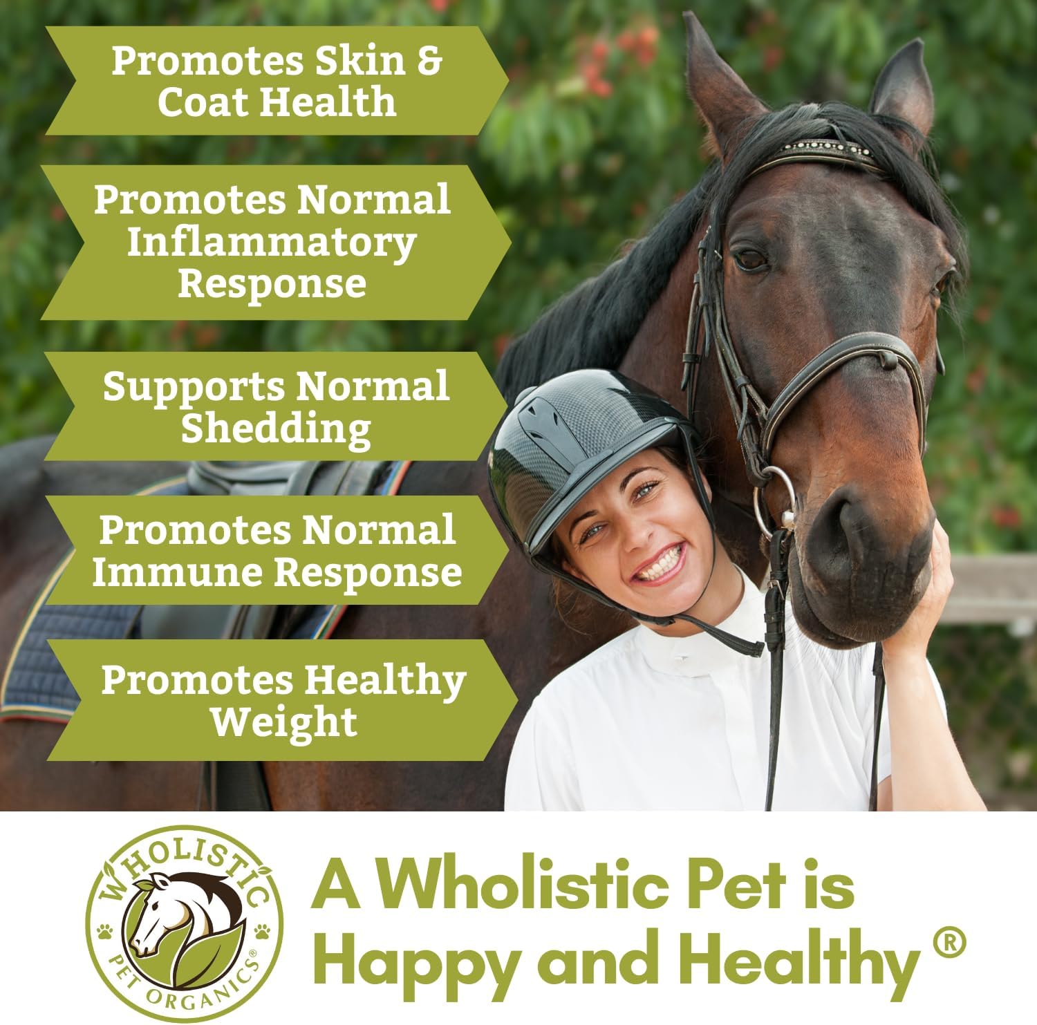 Wholistic Pet Organics Flaxseed Oil: Organic Flaxseed Oil for Horses -Flax Oil Horse Supplement with Antioxidant Rich Rosemary and Omega 3, 6 Fatty Acids for Cardio, Immune, Skin and Coat Health-16 Oz